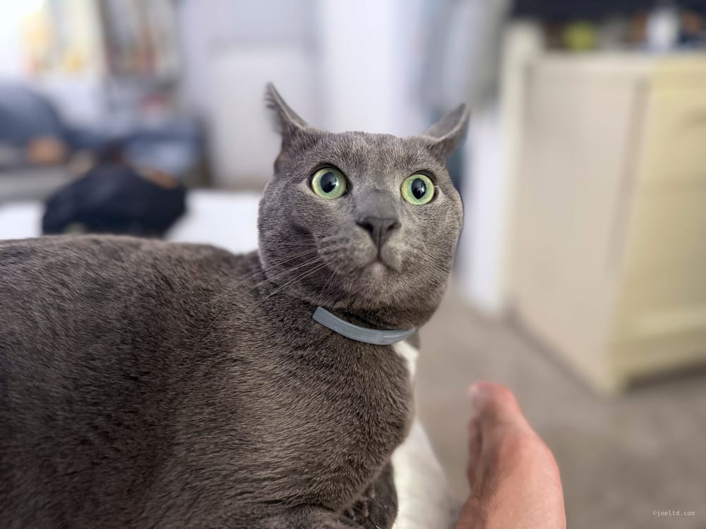 Book of Otis, Chapter 10 post image